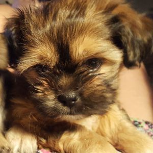 Meet your Posher, Tina